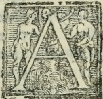 An illustration from Del modo di misvrare : le distantie, le superficie, i corpi, le piante, le prouincie, le prospettiue, & tutte le altre cose terrene, che possono occorrere a gli huomini, secondo le uere regole d'Euclide, & de gli altri piu lodati scrittori, 1564, leaf 298