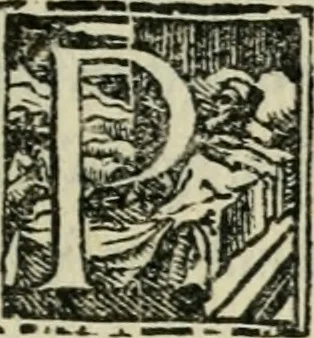 An illustration from Del modo di misvrare : le distantie, le superficie, i corpi, le piante, le prouincie, le prospettiue, & tutte le altre cose terrene, che possono occorrere a gli huomini, secondo le uere regole d'Euclide, & de gli altri piu lodati scrittori, 1564, leaf 34