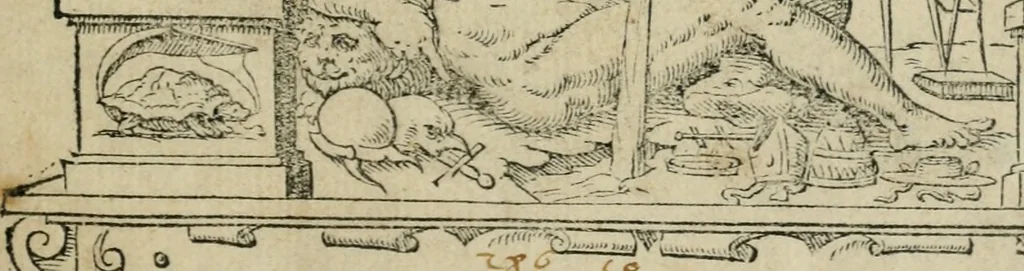 An illustration from Del modo di misvrare : le distantie, le superficie, i corpi, le piante, le prouincie, le prospettiue, & tutte le altre cose terrene, che possono occorrere a gli huomini, secondo le uere regole d'Euclide, & de gli altri piu lodati scrittori, 1564, leaf 4