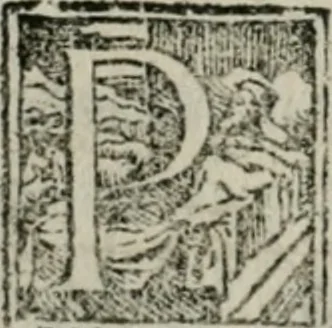 An illustration from Del modo di misvrare : le distantie, le superficie, i corpi, le piante, le prouincie, le prospettiue, & tutte le altre cose terrene, che possono occorrere a gli huomini, secondo le uere regole d'Euclide, & de gli altri piu lodati scrittori, 1564, leaf 61