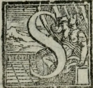 An illustration from Del modo di misvrare : le distantie, le superficie, i corpi, le piante, le prouincie, le prospettiue, & tutte le altre cose terrene, che possono occorrere a gli huomini, secondo le uere regole d'Euclide, & de gli altri piu lodati scrittori, 1564, leaf 63