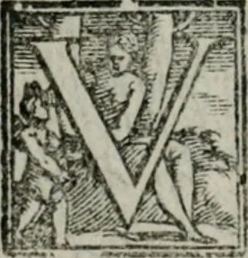 An illustration from Del modo di misvrare : le distantie, le superficie, i corpi, le piante, le prouincie, le prospettiue, & tutte le altre cose terrene, che possono occorrere a gli huomini, secondo le uere regole d'Euclide, & de gli altri piu lodati scrittori, 1564, leaf 65