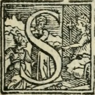 An illustration from Del modo di misvrare : le distantie, le superficie, i corpi, le piante, le prouincie, le prospettiue, & tutte le altre cose terrene, che possono occorrere a gli huomini, secondo le uere regole d'Euclide, & de gli altri piu lodati scrittori, 1564, leaf 78