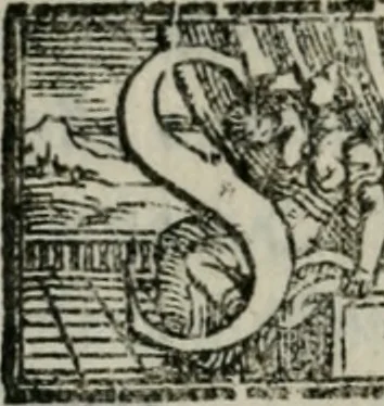 An illustration from Del modo di misvrare : le distantie, le superficie, i corpi, le piante, le prouincie, le prospettiue, & tutte le altre cose terrene, che possono occorrere a gli huomini, secondo le uere regole d'Euclide, & de gli altri piu lodati scrittori, 1564, leaf 99