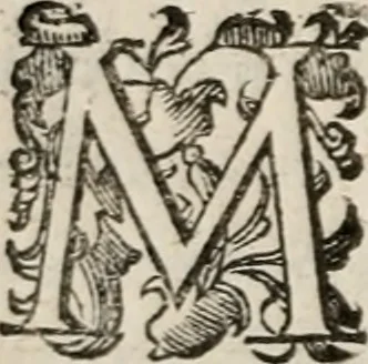 An illustration from Del modo di misvrare le distantie, le superficie, i corpi, le piante, le prouincie, le prospettiue, & tutte le altre cose terrene, che possono occorrere à gli huomini, secondo le vere regole d'Euclide, & de gli altri più lodati scrittori. Dedicata all'illvstrissimo, et eccellentissimo signore, il sig. Cosimo de Medici .., 1614, leaf 105