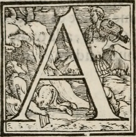 An illustration from Del modo di misvrare le distantie, le superficie, i corpi, le piante, le prouincie, le prospettiue, & tutte le altre cose terrene, che possono occorrere à gli huomini, secondo le vere regole d'Euclide, & de gli altri più lodati scrittori. Dedicata all'illvstrissimo, et eccellentissimo signore, il sig. Cosimo de Medici .., 1614, leaf 11