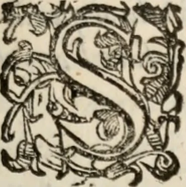 An illustration from Del modo di misvrare le distantie, le superficie, i corpi, le piante, le prouincie, le prospettiue, & tutte le altre cose terrene, che possono occorrere à gli huomini, secondo le vere regole d'Euclide, & de gli altri più lodati scrittori. Dedicata all'illvstrissimo, et eccellentissimo signore, il sig. Cosimo de Medici .., 1614, leaf 114