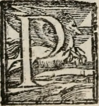 An illustration from Del modo di misvrare le distantie, le superficie, i corpi, le piante, le prouincie, le prospettiue, & tutte le altre cose terrene, che possono occorrere à gli huomini, secondo le vere regole d'Euclide, & de gli altri più lodati scrittori. Dedicata all'illvstrissimo, et eccellentissimo signore, il sig. Cosimo de Medici .., 1614, leaf 115