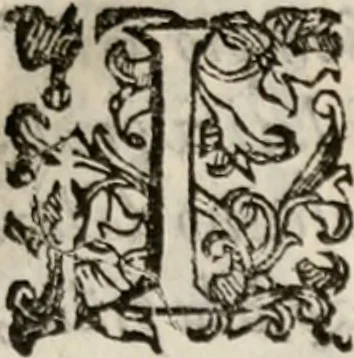 An illustration from Del modo di misvrare le distantie, le superficie, i corpi, le piante, le prouincie, le prospettiue, & tutte le altre cose terrene, che possono occorrere à gli huomini, secondo le vere regole d'Euclide, & de gli altri più lodati scrittori. Dedicata all'illvstrissimo, et eccellentissimo signore, il sig. Cosimo de Medici .., 1614, leaf 120