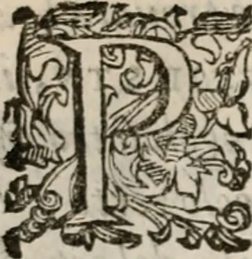 An illustration from Del modo di misvrare le distantie, le superficie, i corpi, le piante, le prouincie, le prospettiue, & tutte le altre cose terrene, che possono occorrere à gli huomini, secondo le vere regole d'Euclide, & de gli altri più lodati scrittori. Dedicata all'illvstrissimo, et eccellentissimo signore, il sig. Cosimo de Medici .., 1614, leaf 141