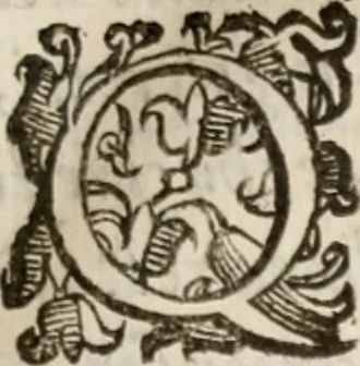 An illustration from Del modo di misvrare le distantie, le superficie, i corpi, le piante, le prouincie, le prospettiue, & tutte le altre cose terrene, che possono occorrere à gli huomini, secondo le vere regole d'Euclide, & de gli altri più lodati scrittori. Dedicata all'illvstrissimo, et eccellentissimo signore, il sig. Cosimo de Medici .., 1614, leaf 146