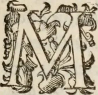 An illustration from Del modo di misvrare le distantie, le superficie, i corpi, le piante, le prouincie, le prospettiue, & tutte le altre cose terrene, che possono occorrere à gli huomini, secondo le vere regole d'Euclide, & de gli altri più lodati scrittori. Dedicata all'illvstrissimo, et eccellentissimo signore, il sig. Cosimo de Medici .., 1614, leaf 158