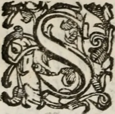 An illustration from Del modo di misvrare le distantie, le superficie, i corpi, le piante, le prouincie, le prospettiue, & tutte le altre cose terrene, che possono occorrere à gli huomini, secondo le vere regole d'Euclide, & de gli altri più lodati scrittori. Dedicata all'illvstrissimo, et eccellentissimo signore, il sig. Cosimo de Medici .., 1614, leaf 161