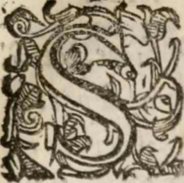 An illustration from Del modo di misvrare le distantie, le superficie, i corpi, le piante, le prouincie, le prospettiue, & tutte le altre cose terrene, che possono occorrere à gli huomini, secondo le vere regole d'Euclide, & de gli altri più lodati scrittori. Dedicata all'illvstrissimo, et eccellentissimo signore, il sig. Cosimo de Medici .., 1614, leaf 162