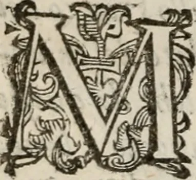 An illustration from Del modo di misvrare le distantie, le superficie, i corpi, le piante, le prouincie, le prospettiue, & tutte le altre cose terrene, che possono occorrere à gli huomini, secondo le vere regole d'Euclide, & de gli altri più lodati scrittori. Dedicata all'illvstrissimo, et eccellentissimo signore, il sig. Cosimo de Medici .., 1614, leaf 173