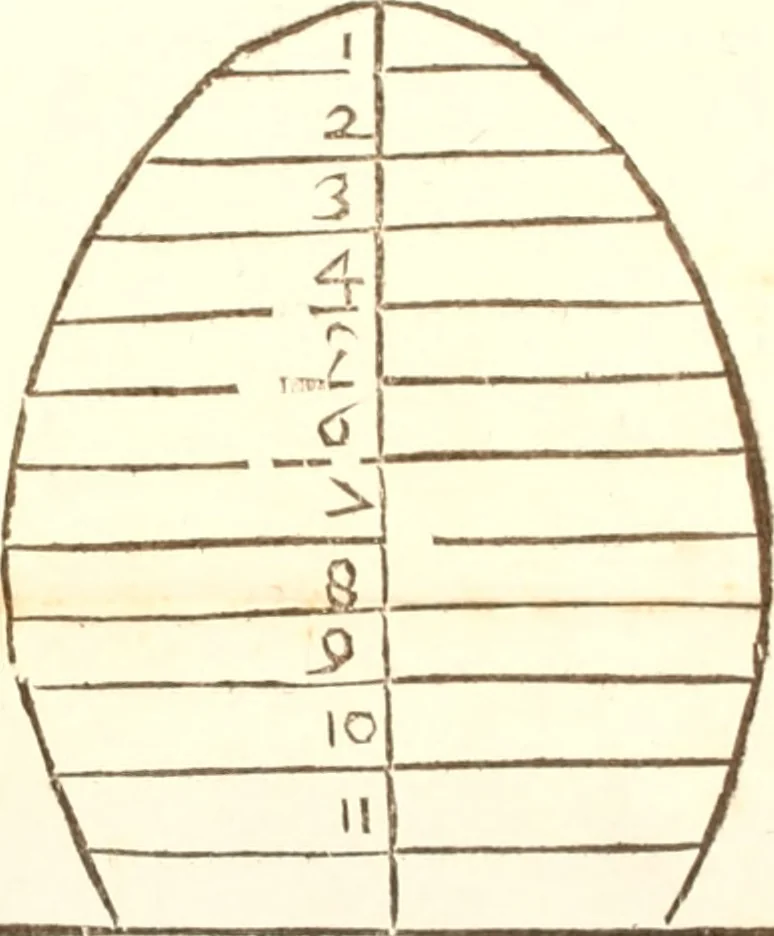 An illustration from Del modo di misvrare le distantie, le superficie, i corpi, le piante, le prouincie, le prospettiue, & tutte le altre cose terrene, che possono occorrere à gli huomini, secondo le vere regole d'Euclide, & de gli altri più lodati scrittori. Dedicata all'illvstrissimo, et eccellentissimo signore, il sig. Cosimo de Medici .., 1614, leaf 174