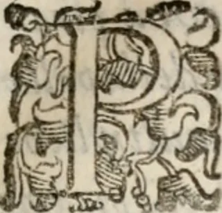 An illustration from Del modo di misvrare le distantie, le superficie, i corpi, le piante, le prouincie, le prospettiue, & tutte le altre cose terrene, che possono occorrere à gli huomini, secondo le vere regole d'Euclide, & de gli altri più lodati scrittori. Dedicata all'illvstrissimo, et eccellentissimo signore, il sig. Cosimo de Medici .., 1614, leaf 182