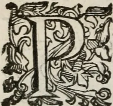An illustration from Del modo di misvrare le distantie, le superficie, i corpi, le piante, le prouincie, le prospettiue, & tutte le altre cose terrene, che possono occorrere à gli huomini, secondo le vere regole d'Euclide, & de gli altri più lodati scrittori. Dedicata all'illvstrissimo, et eccellentissimo signore, il sig. Cosimo de Medici .., 1614, leaf 187