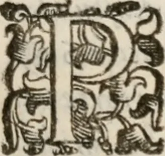 An illustration from Del modo di misvrare le distantie, le superficie, i corpi, le piante, le prouincie, le prospettiue, & tutte le altre cose terrene, che possono occorrere à gli huomini, secondo le vere regole d'Euclide, & de gli altri più lodati scrittori. Dedicata all'illvstrissimo, et eccellentissimo signore, il sig. Cosimo de Medici .., 1614, leaf 190