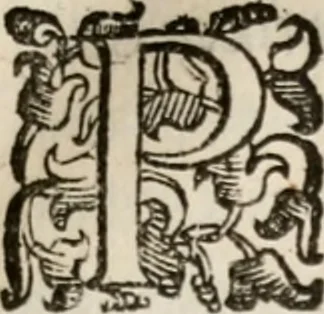 An illustration from Del modo di misvrare le distantie, le superficie, i corpi, le piante, le prouincie, le prospettiue, & tutte le altre cose terrene, che possono occorrere à gli huomini, secondo le vere regole d'Euclide, & de gli altri più lodati scrittori. Dedicata all'illvstrissimo, et eccellentissimo signore, il sig. Cosimo de Medici .., 1614, leaf 198