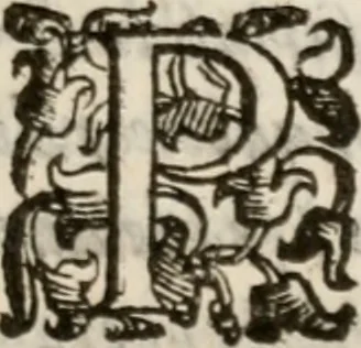 An illustration from Del modo di misvrare le distantie, le superficie, i corpi, le piante, le prouincie, le prospettiue, & tutte le altre cose terrene, che possono occorrere à gli huomini, secondo le vere regole d'Euclide, & de gli altri più lodati scrittori. Dedicata all'illvstrissimo, et eccellentissimo signore, il sig. Cosimo de Medici .., 1614, leaf 224