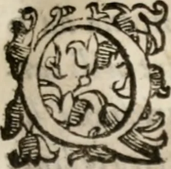 An illustration from Del modo di misvrare le distantie, le superficie, i corpi, le piante, le prouincie, le prospettiue, & tutte le altre cose terrene, che possono occorrere à gli huomini, secondo le vere regole d'Euclide, & de gli altri più lodati scrittori. Dedicata all'illvstrissimo, et eccellentissimo signore, il sig. Cosimo de Medici .., 1614, leaf 228