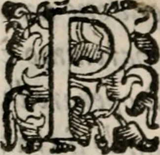 An illustration from Del modo di misvrare le distantie, le superficie, i corpi, le piante, le prouincie, le prospettiue, & tutte le altre cose terrene, che possono occorrere à gli huomini, secondo le vere regole d'Euclide, & de gli altri più lodati scrittori. Dedicata all'illvstrissimo, et eccellentissimo signore, il sig. Cosimo de Medici .., 1614, leaf 27