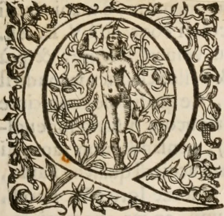An illustration from Del modo di misvrare le distantie, le superficie, i corpi, le piante, le prouincie, le prospettiue, & tutte le altre cose terrene, che possono occorrere à gli huomini, secondo le vere regole d'Euclide, & de gli altri più lodati scrittori. Dedicata all'illvstrissimo, et eccellentissimo signore, il sig. Cosimo de Medici .., 1614, leaf 8