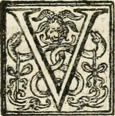 An illustration from Descrizzione de l'ordine della processione fatta la vigilia di san Giovanni Batista, l'anno MDLXXVII, dalle compagnie de giouani Fiorentini, per l'allegrezza del natale del serenissimo gran prencipe di Toscana, 1577, leaf 33