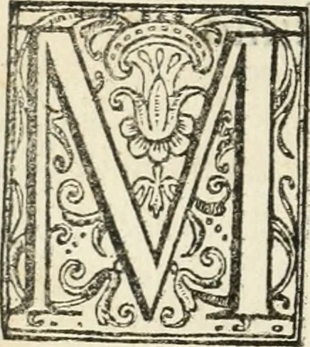 An illustration from Descrizzione de l'ordine della processione fatta la vigilia di san Giovanni Batista, l'anno MDLXXVII, dalle compagnie de giouani Fiorentini, per l'allegrezza del natale del serenissimo gran prencipe di Toscana, 1577, leaf 7