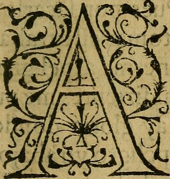 An illustration from Del origen y milagros de la Santa Imagen de nuestra Señora de Candelaria, que aparecio en la isla de Tenerife, con la descripcion de esta isla, 1594, leaf 168