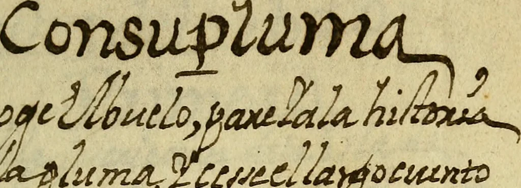 An illustration from Del origen y milagros de la Santa Imagen de nuestra Señora de Candelaria, que aparecio en la isla de Tenerife, con la descripcion de esta isla, 1594, leaf 406