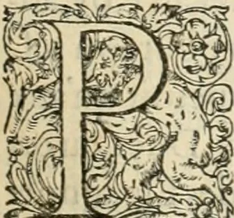 An illustration from De l'origine des bovrgongnons, et antiqvité des estats de Bovrgongne, devx livres : plus, des antiquitez d'Autun, liure 1 : de Chalon, 2 : de Mascon, 3 : de l'abbaye & ville de Tournus, 1, 1581, leaf 172