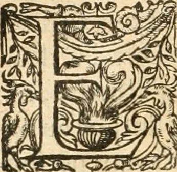 An illustration from De l'origine des bovrgongnons, et antiqvité des estats de Bovrgongne, devx livres : plus, des antiquitez d'Autun, liure 1 : de Chalon, 2 : de Mascon, 3 : de l'abbaye & ville de Tournus, 1, 1581, leaf 193