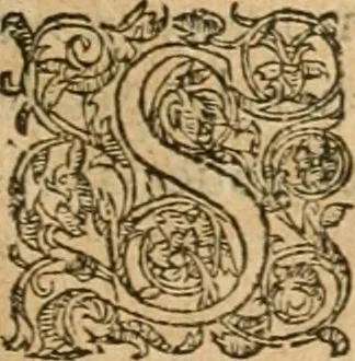An illustration from De l'origine des bovrgongnons, et antiqvité des estats de Bovrgongne, devx livres : plus, des antiquitez d'Autun, liure 1 : de Chalon, 2 : de Mascon, 3 : de l'abbaye & ville de Tournus, 1, 1581, leaf 194