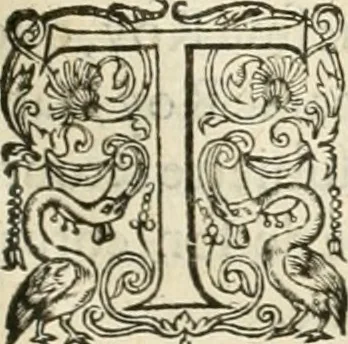 An illustration from De l'origine des bovrgongnons, et antiqvité des estats de Bovrgongne, devx livres : plus, des antiquitez d'Autun, liure 1 : de Chalon, 2 : de Mascon, 3 : de l'abbaye & ville de Tournus, 1, 1581, leaf 210