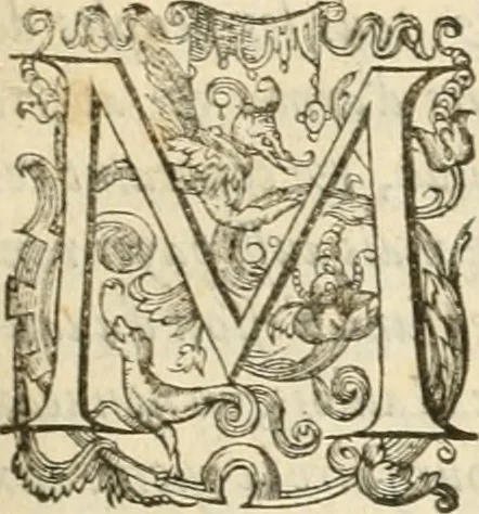 An illustration from De l'origine des bovrgongnons, et antiqvité des estats de Bovrgongne, devx livres : plus, des antiquitez d'Autun, liure 1 : de Chalon, 2 : de Mascon, 3 : de l'abbaye & ville de Tournus, 1, 1581, leaf 222