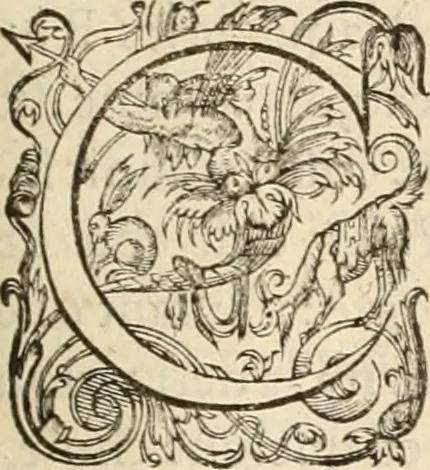 An illustration from De l'origine des bovrgongnons, et antiqvité des estats de Bovrgongne, devx livres : plus, des antiquitez d'Autun, liure 1 : de Chalon, 2 : de Mascon, 3 : de l'abbaye & ville de Tournus, 1, 1581, leaf 230