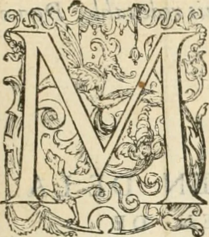 An illustration from De l'origine des bovrgongnons, et antiqvité des estats de Bovrgongne, devx livres : plus, des antiquitez d'Autun, liure 1 : de Chalon, 2 : de Mascon, 3 : de l'abbaye & ville de Tournus, 1, 1581, leaf 266