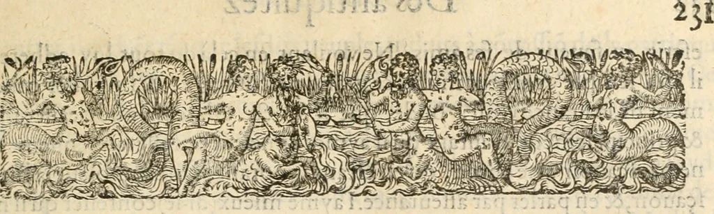 An illustration from De l'origine des bovrgongnons, et antiqvité des estats de Bovrgongne, devx livres : plus, des antiquitez d'Autun, liure 1 : de Chalon, 2 : de Mascon, 3 : de l'abbaye & ville de Tournus, 1, 1581, leaf 270