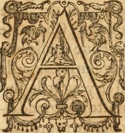An illustration from De l'origine des bovrgongnons, et antiqvité des estats de Bovrgongne, devx livres : plus, des antiquitez d'Autun, liure 1 : de Chalon, 2 : de Mascon, 3 : de l'abbaye & ville de Tournus, 1, 1581, leaf 337