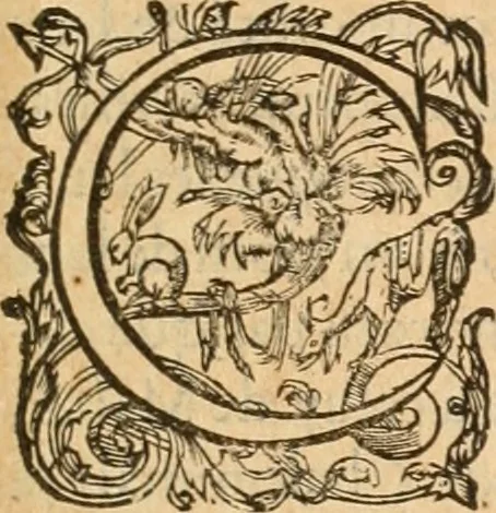 An illustration from De l'origine des bovrgongnons, et antiqvité des estats de Bovrgongne, devx livres : plus, des antiquitez d'Autun, liure 1 : de Chalon, 2 : de Mascon, 3 : de l'abbaye & ville de Tournus, 1, 1581, leaf 416