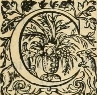 An illustration from De l'origine des bovrgongnons, et antiqvité des estats de Bovrgongne, devx livres : plus, des antiquitez d'Autun, liure 1 : de Chalon, 2 : de Mascon, 3 : de l'abbaye & ville de Tournus, 1, 1581, leaf 50