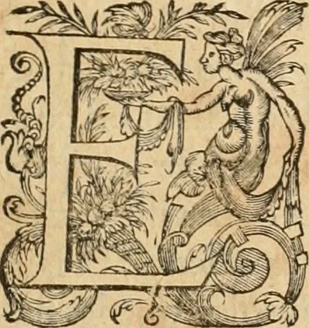 An illustration from De l'origine des bovrgongnons, et antiqvité des estats de Bovrgongne, devx livres : plus, des antiquitez d'Autun, liure 1 : de Chalon, 2 : de Mascon, 3 : de l'abbaye & ville de Tournus, 1, 1581, leaf 544