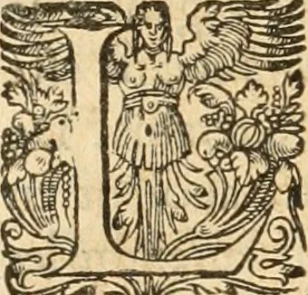 An illustration from De l'origine des bovrgongnons, et antiqvité des estats de Bovrgongne, devx livres : plus, des antiquitez d'Autun, liure 1 : de Chalon, 2 : de Mascon, 3 : de l'abbaye & ville de Tournus, 1, 1581, leaf 599