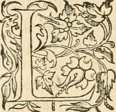 An illustration from De l'origine des bovrgongnons, et antiqvité des estats de Bovrgongne, devx livres : plus, des antiquitez d'Autun, liure 1 : de Chalon, 2 : de Mascon, 3 : de l'abbaye & ville de Tournus, 1, 1581, leaf 647