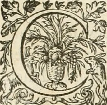 An illustration from De l'origine des bovrgongnons, et antiqvité des estats de Bovrgongne, devx livres : plus, des antiquitez d'Autun, liure 1 : de Chalon, 2 : de Mascon, 3 : de l'abbaye & ville de Tournus, 1, 1581, leaf 688