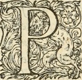 An illustration from De l'origine des bovrgongnons, et antiqvité des estats de Bovrgongne, devx livres : plus, des antiquitez d'Autun, liure 1 : de Chalon, 2 : de Mascon, 3 : de l'abbaye & ville de Tournus, 1, 1581, leaf 87