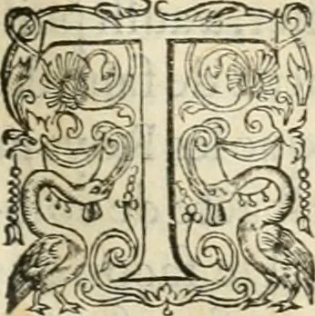 An illustration from De l'origine des bovrgongnons, et antiqvité des estats de Bovrgongne, devx livres : plus, des antiquitez d'Autun, liure 1 : de Chalon, 2 : de Mascon, 3 : de l'abbaye & ville de Tournus, 1, 1581, leaf 92
