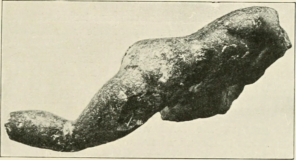 An illustration from Delphi, 1920, leaf 172